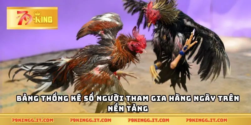Bảng thống kê số người tham gia hàng ngày trên nền tảng