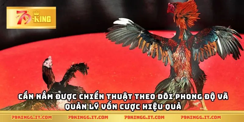 Cần nắm được chiến thuật theo dõi phong độ và quản lý vốn cược hiệu quả