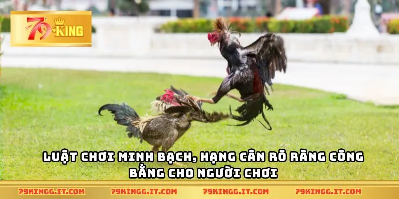 Luật chơi minh bạch, hạng cân rõ ràng công bằng cho người chơi