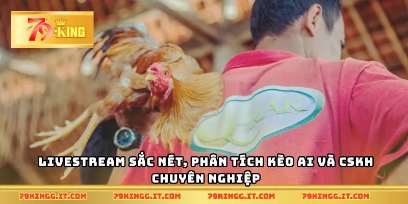 Livestream sắc nét, phân tích kèo AI và CSKH chuyên nghiệp